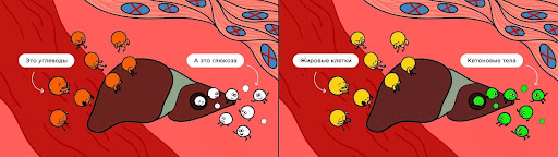 Кето-диета для начинающих: как похудеть без углеводов  &ndash; 1
