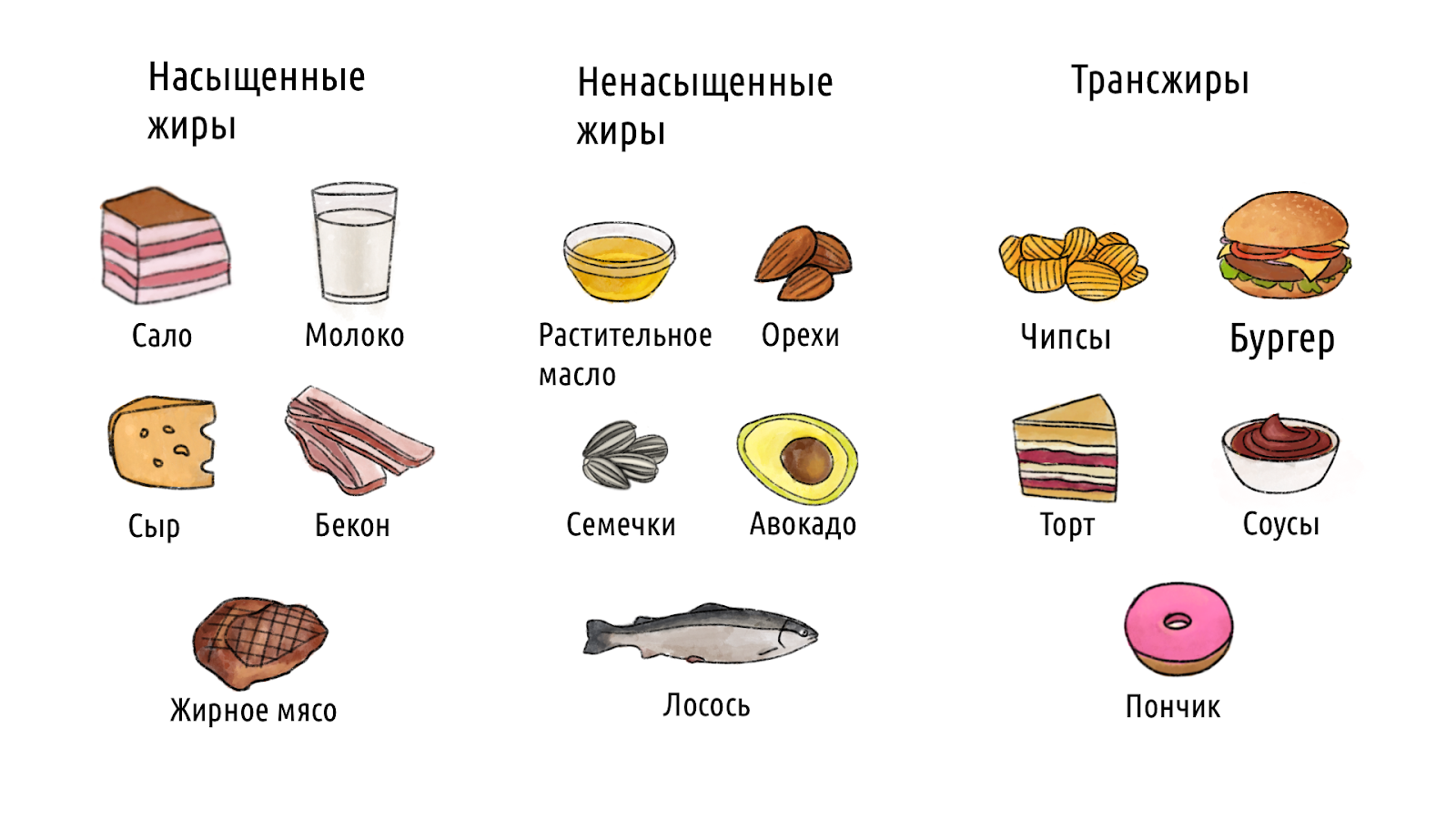 Жиры: в каких продуктах содержатся, и их функция в организме – 1