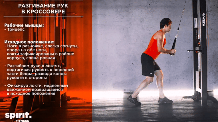 Как подростку накачаться в зале – 6