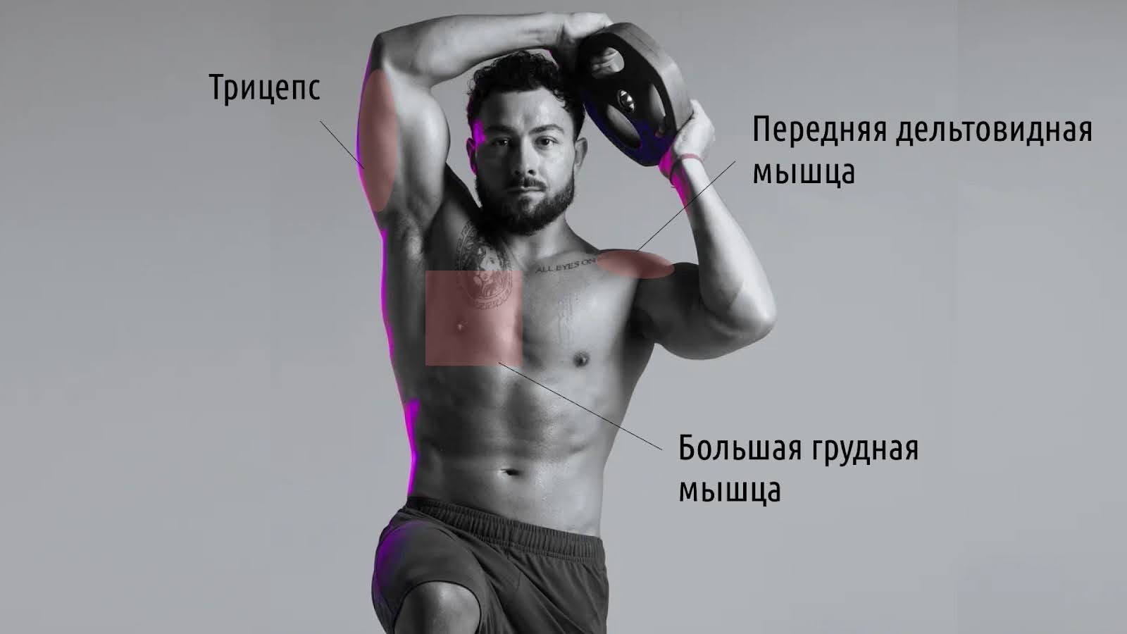 Жим гантелей лёжа на горизонтальной скамье: правильная техника и ошибки – 1