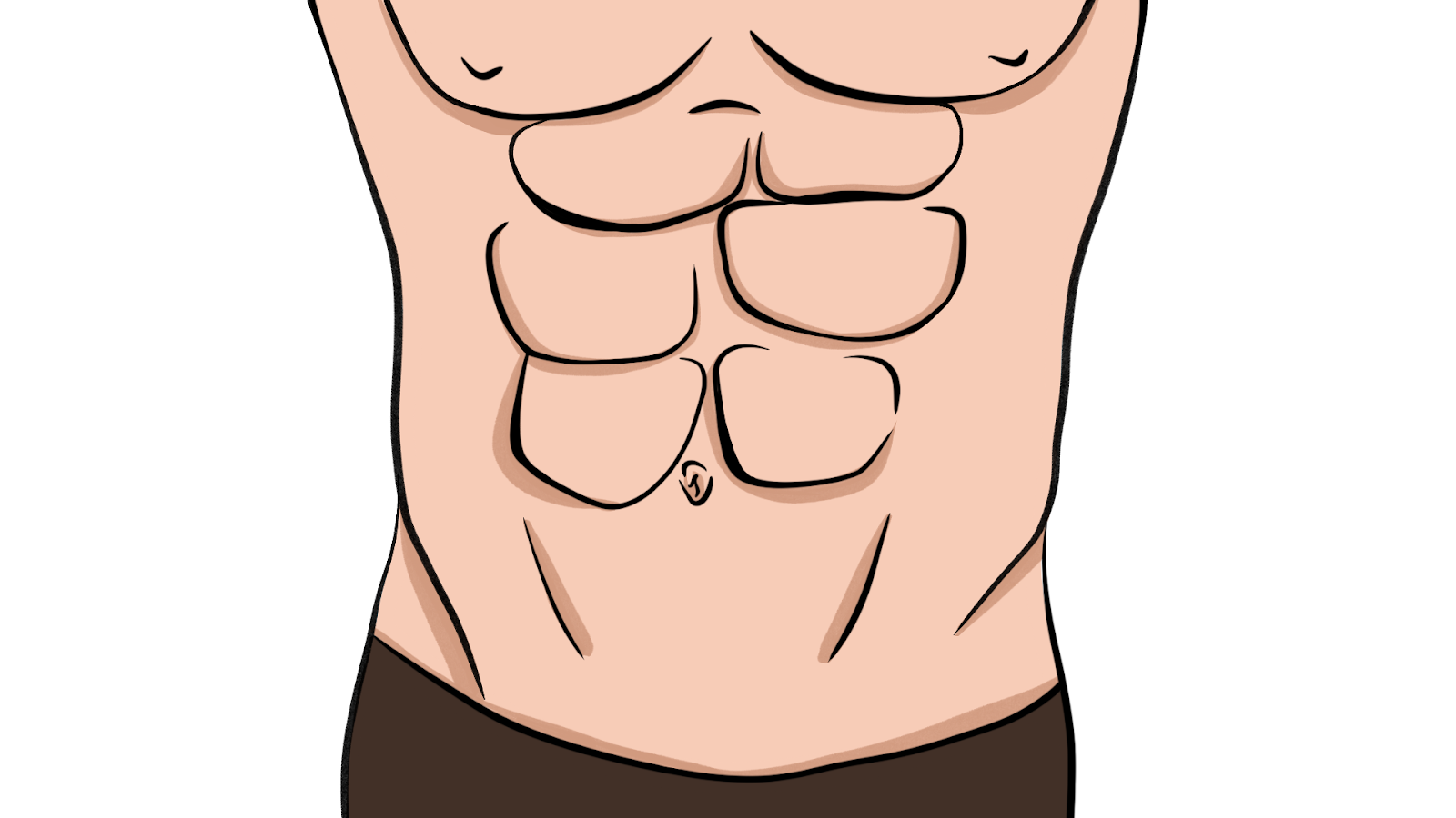 Всё, что нужно знать о нижнем прессе: анатомия, упражнения и мифы – 2