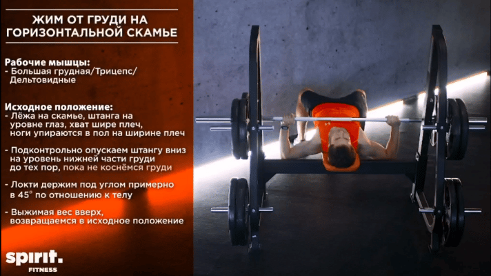 Как подростку накачаться в зале – 1