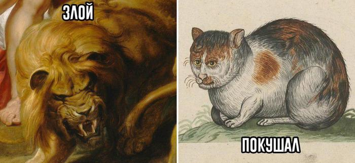 Как гормоны мешают похудеть и мешают ли на самом деле – 1