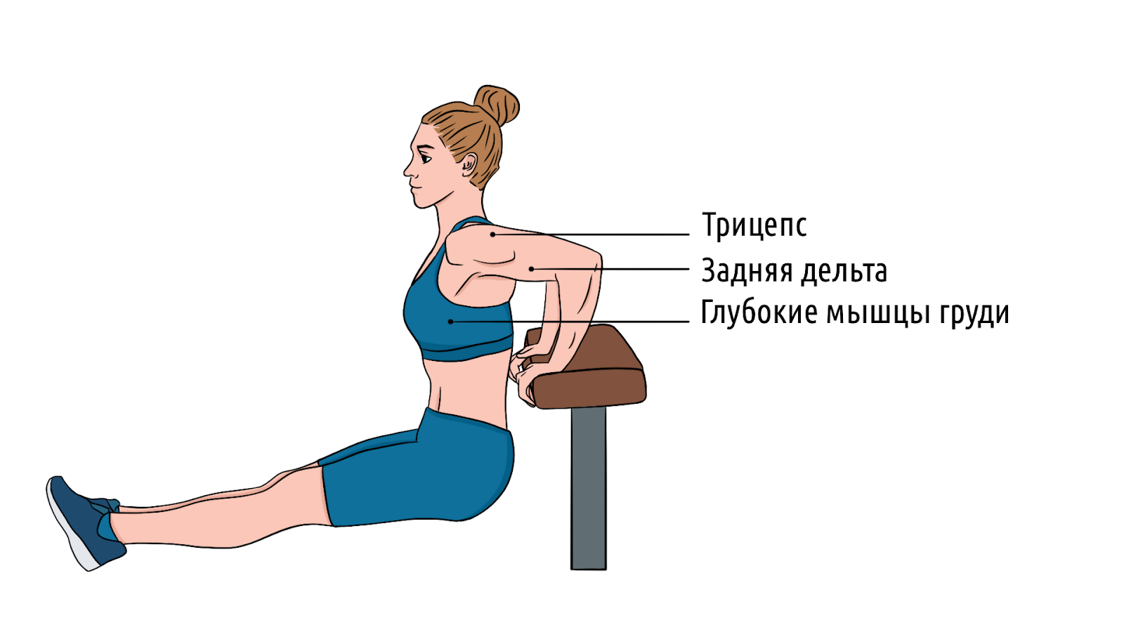 Обратные отжимания: чем отличаются от обычных, и как правильно делать &ndash; 1
