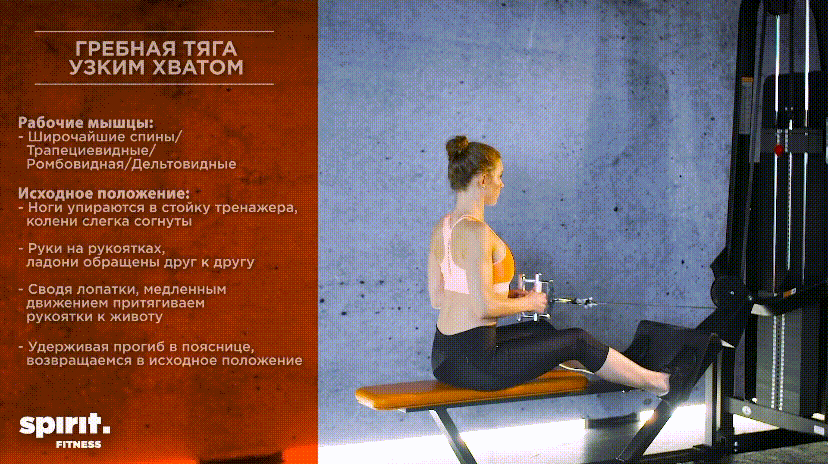 С чего начать тренировки в зале + тренировочный план для начинающих – 13