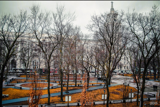 Где бегать в Воронеже: места и маршруты &ndash; 6