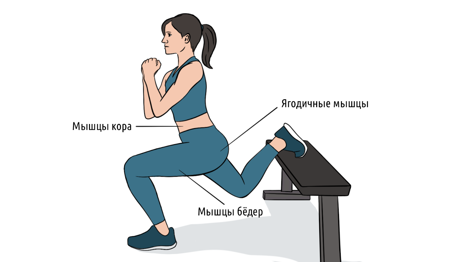 Болгарские выпады: как правильно делать и чем отличаются от обычных – 1