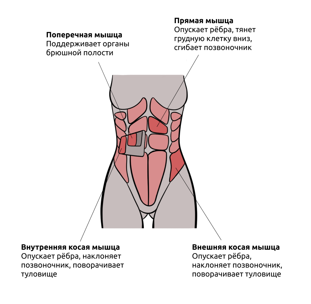 Красивый пресс: упражнения для женщин &ndash; 3