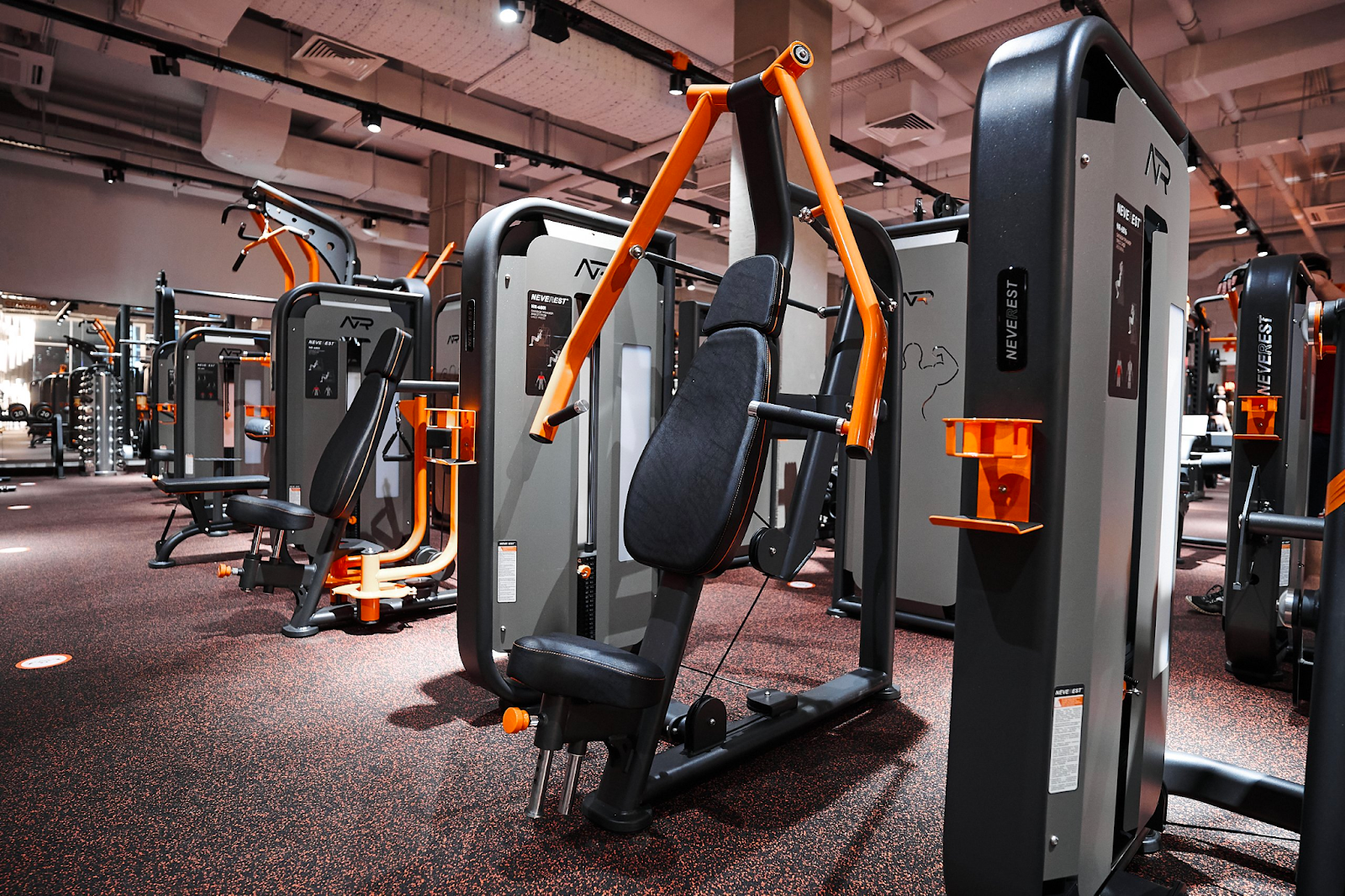 Жим гантелей лёжа на горизонтальной скамье: правильная техника и ошибки – 3