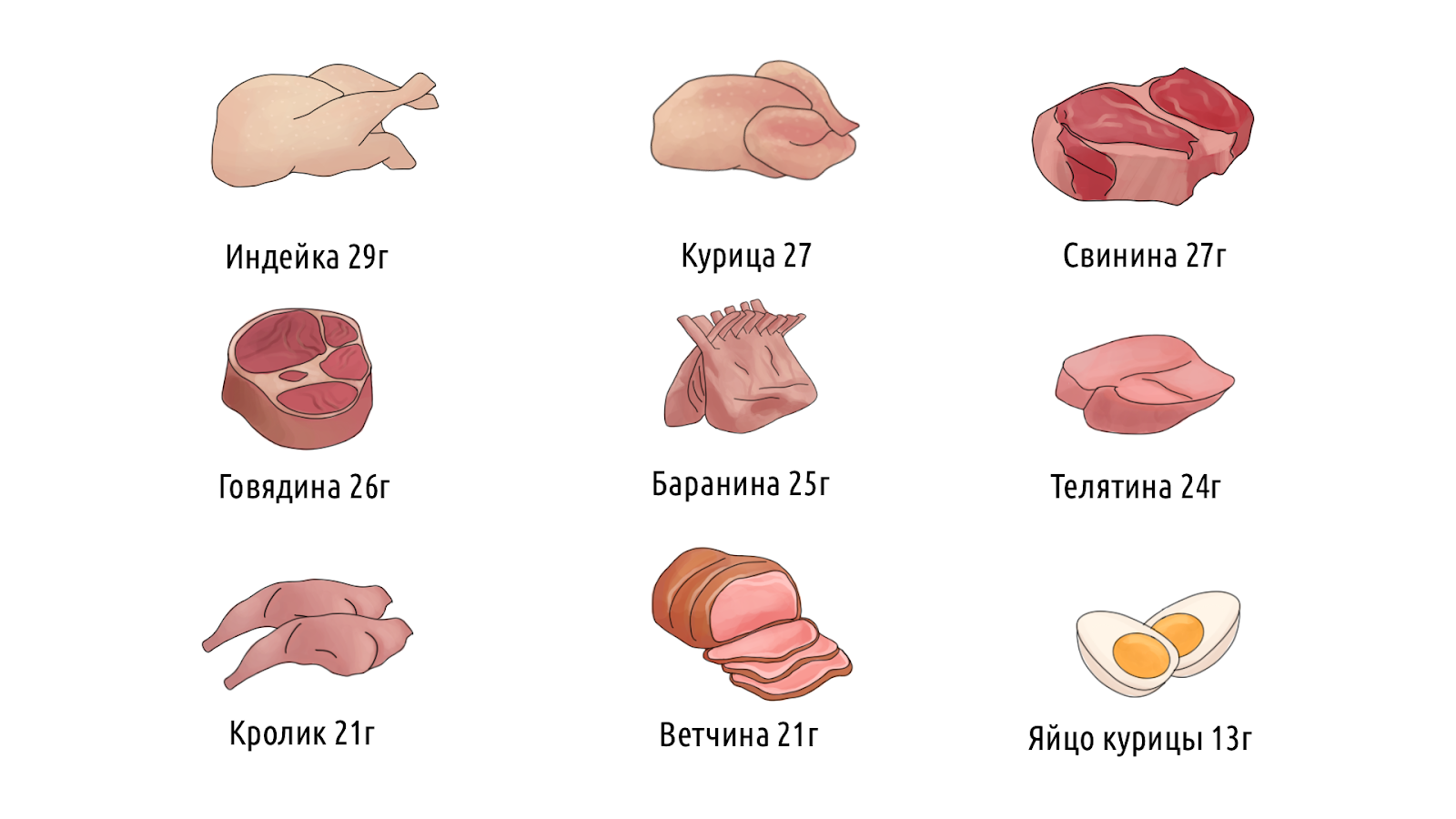 Что такое белок, и какую роль он играет в организме человека – 8