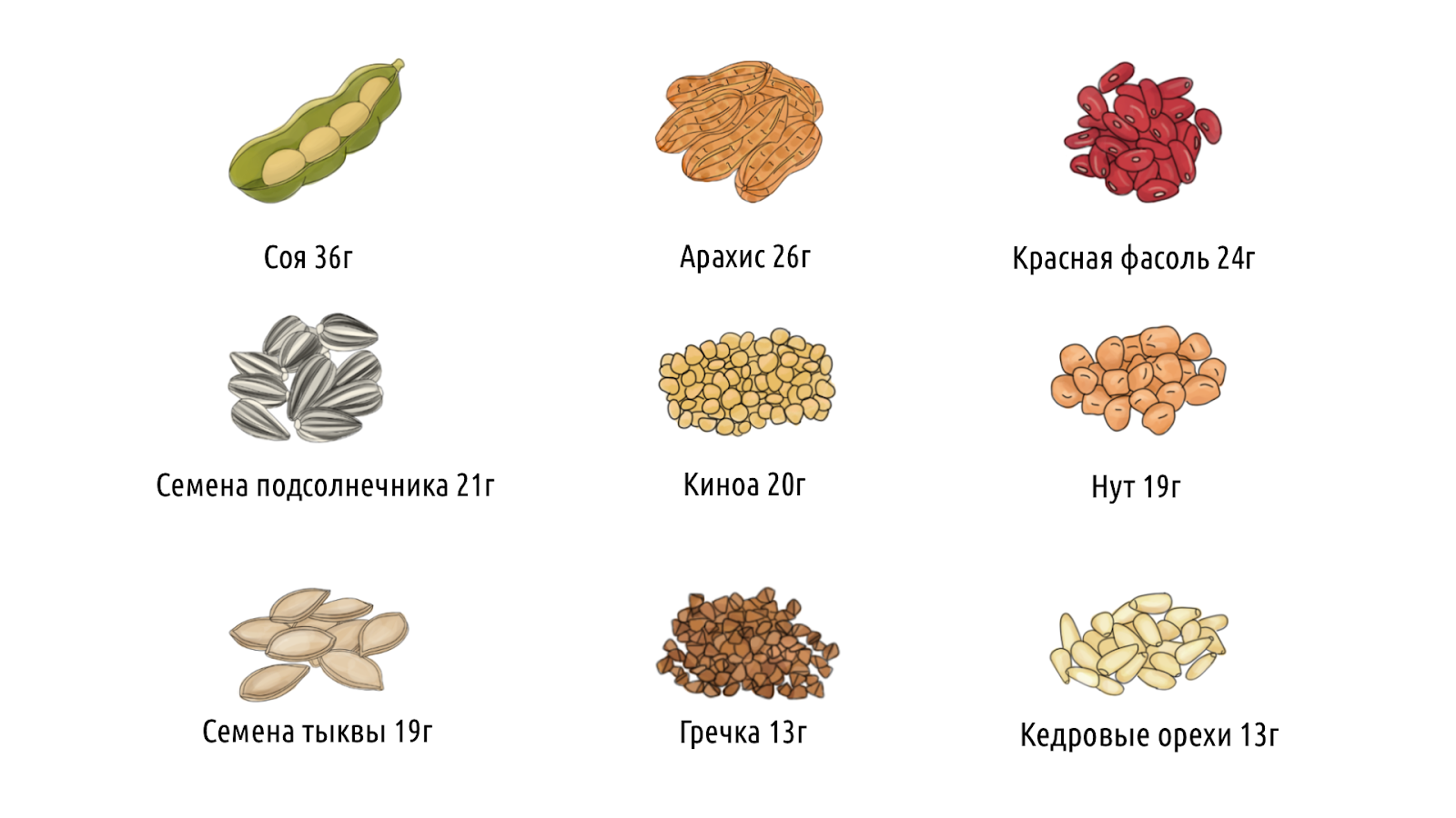 Что такое белок, и какую роль он играет в организме человека – 7