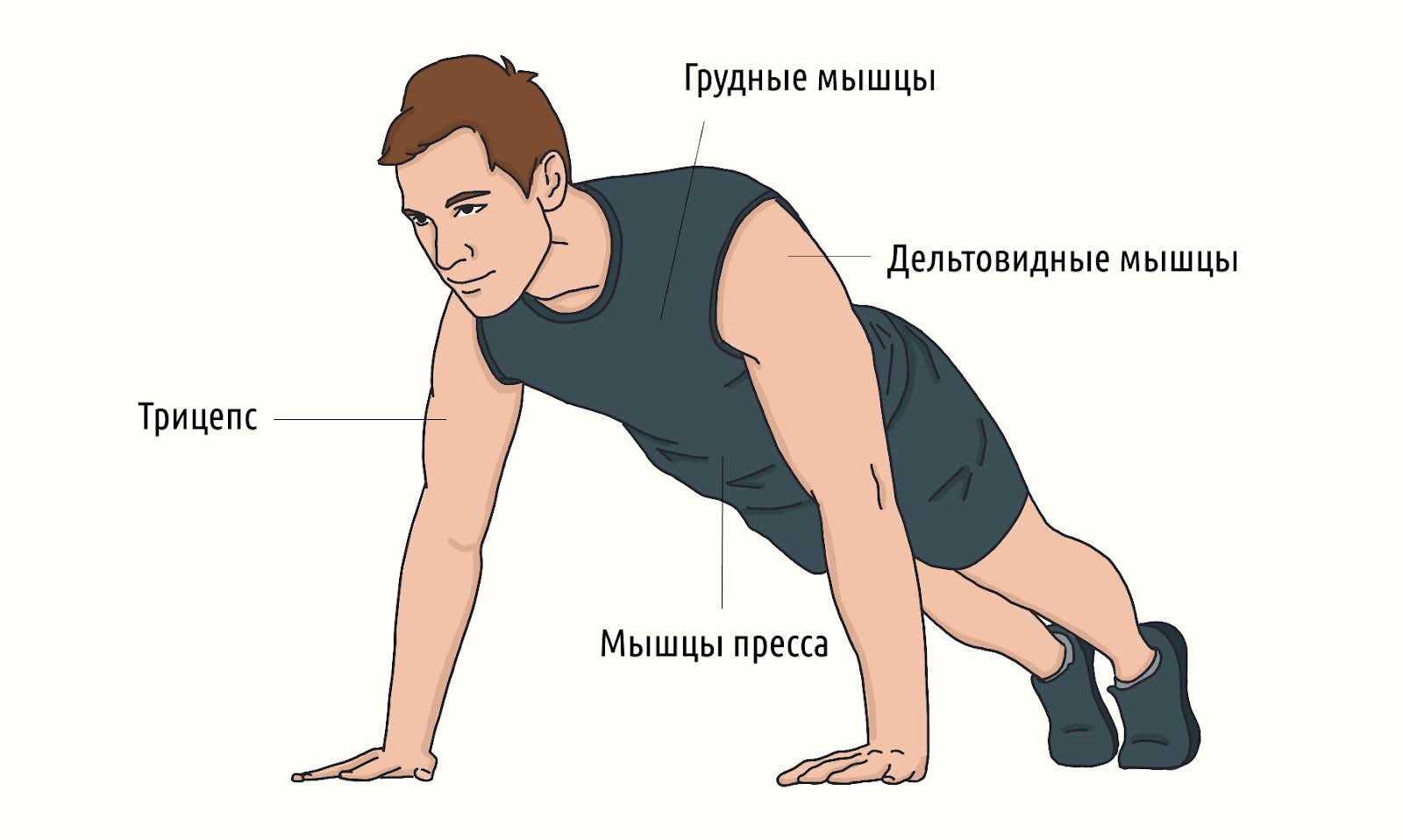 Как отжиматься от пола: правильная техника и виды упражнений &ndash; 2